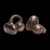 Auriculares JBL Soundgear Clips Copper