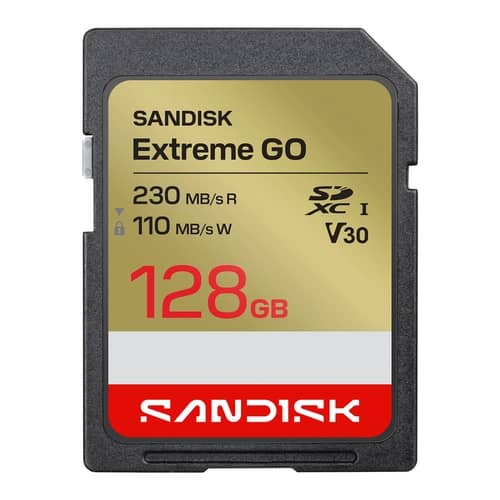 20558