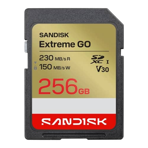 20559